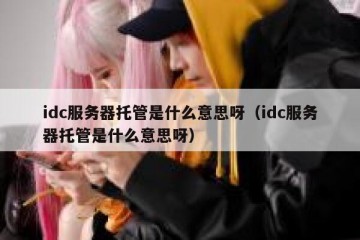 idc服务器托管是什么意思呀（idc服务器托管是什么意思呀）