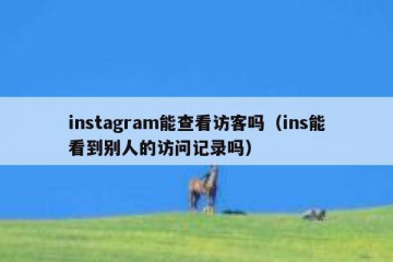 instagram能查看访客吗（ins能看到别人的访问记录吗）