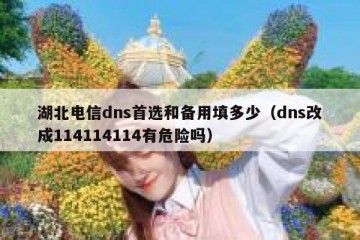 湖北电信dns首选和备用填多少（dns改成114114114有危险吗）