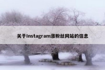 关于Instagram涨粉丝网站的信息