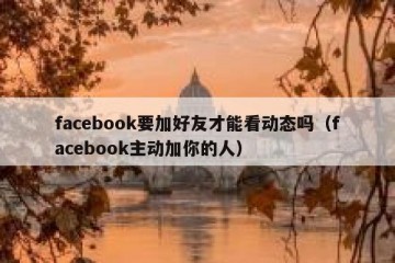 facebook要加好友才能看动态吗（facebook主动加你的人）