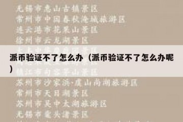 派币验证不了怎么办（派币验证不了怎么办呢）