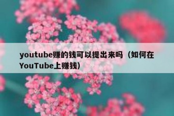 youtube赚的钱可以提出来吗（如何在YouTube上赚钱）