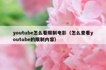 youtube怎么看限制电影（怎么查看youtube的限制内容）