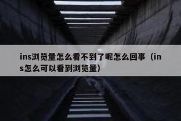 ins浏览量怎么看不到了呢怎么回事（ins怎么可以看到浏览量）