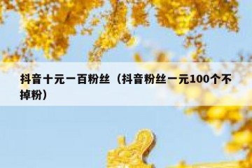 抖音十元一百粉丝（抖音粉丝一元100个不掉粉）