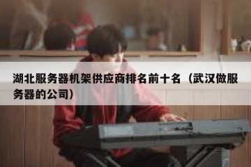 湖北服务器机架供应商排名前十名（武汉做服务器的公司）