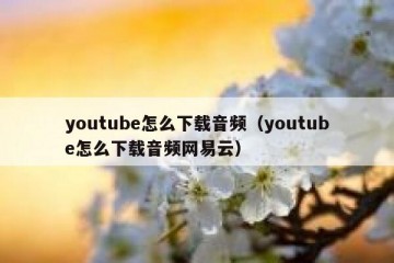 youtube怎么下载音频（youtube怎么下载音频网易云）