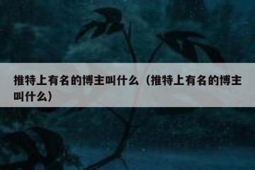 推特上有名的博主叫什么（推特上有名的博主叫什么）