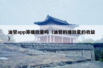 油管app算播放量吗（油管的播放量的收益）