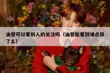 油管可以看别人的关注吗（油管能看到谁点踩了么）