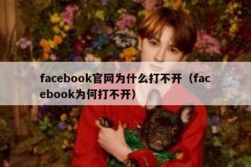 facebook官网为什么打不开（facebook为何打不开）