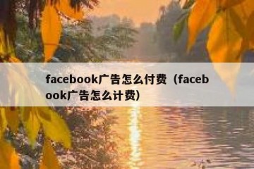 facebook广告怎么付费（facebook广告怎么计费）