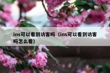 ins可以看到访客吗（ins可以看到访客吗怎么看）