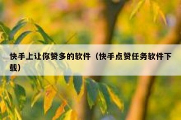快手上让你赞多的软件（快手点赞任务软件下载）