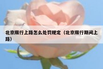 北京限行上路怎么处罚规定（北京限行期间上路）