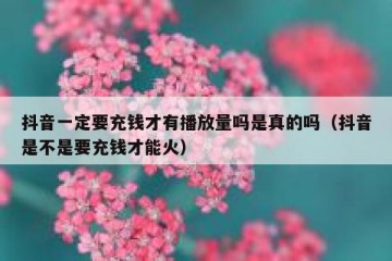 抖音一定要充钱才有播放量吗是真的吗（抖音是不是要充钱才能火）