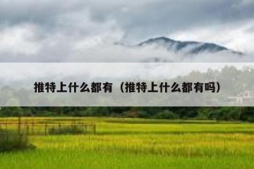 推特上什么都有（推特上什么都有吗）