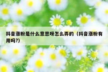 抖音涨粉是什么意思呀怎么弄的（抖音涨粉有用吗?）