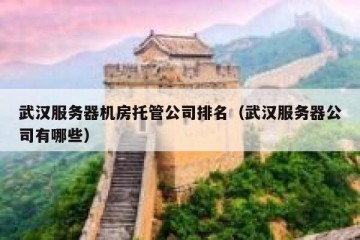 武汉服务器机房托管公司排名（武汉服务器公司有哪些）
