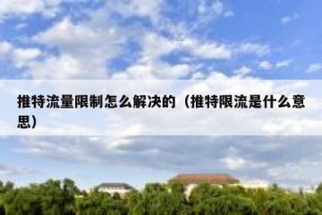 推特流量限制怎么解决的（推特限流是什么意思）