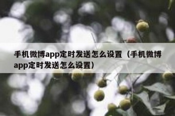 手机微博app定时发送怎么设置（手机微博app定时发送怎么设置）