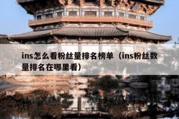 ins怎么看粉丝量排名榜单（ins粉丝数量排名在哪里看）