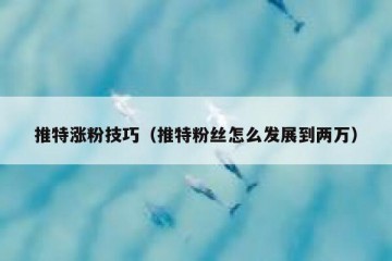 推特涨粉技巧（推特粉丝怎么发展到两万）