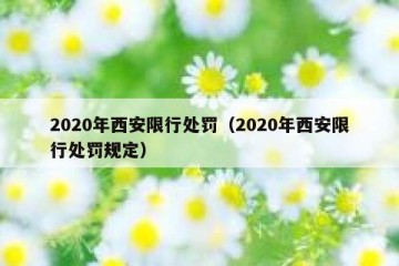2020年西安限行处罚（2020年西安限行处罚规定）