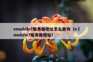 emobile7服务器地址怎么查询（e–mobile7服务器地址）