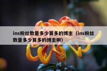 ins粉丝数量多少算多的博主（ins粉丝数量多少算多的博主啊）