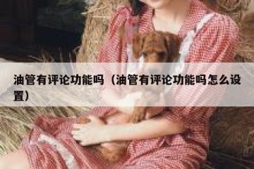 油管有评论功能吗（油管有评论功能吗怎么设置）
