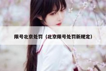 限号北京处罚（北京限号处罚新规定）