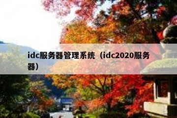 idc服务器管理系统（idc2020服务器）