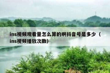 ins视频观看量怎么算的啊抖音号是多少（ins视频播放次数）