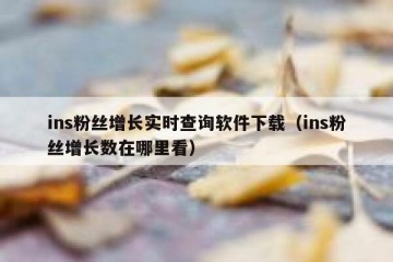 ins粉丝增长实时查询软件下载（ins粉丝增长数在哪里看）