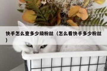 快手怎么查多少级粉丝（怎么看快手多少粉丝）