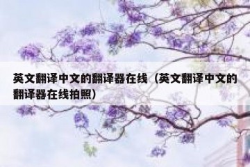 英文翻译中文的翻译器在线（英文翻译中文的翻译器在线拍照）