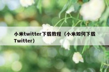 小米twitter下载教程（小米如何下载Twitter）