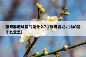 服务器地址指的是什么?（服务器地址指的是什么意思）
