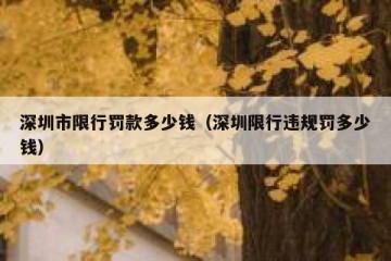 深圳市限行罚款多少钱（深圳限行违规罚多少钱）