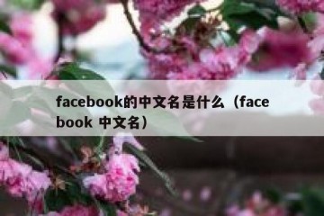 facebook的中文名是什么（facebook 中文名）