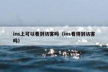ins上可以看到访客吗（ins看得到访客吗）