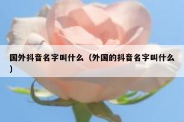 国外抖音名字叫什么（外国的抖音名字叫什么）