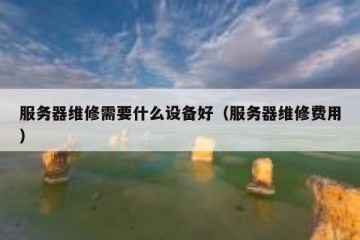 服务器维修需要什么设备好（服务器维修费用）
