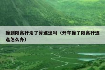 撞到限高杆走了算逃逸吗（开车撞了限高杆逃逸怎么办）