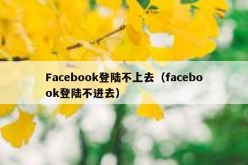 Facebook登陆不上去（facebook登陆不进去）