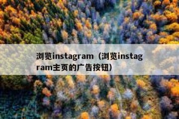 浏览instagram（浏览instagram主页的广告按钮）