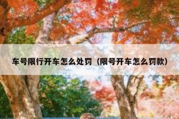 车号限行开车怎么处罚（限号开车怎么罚款）