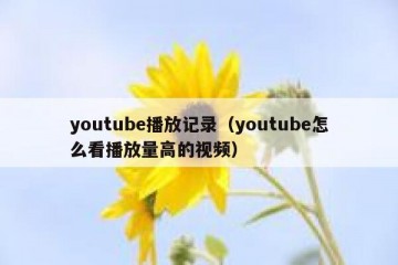 youtube播放记录（youtube怎么看播放量高的视频）